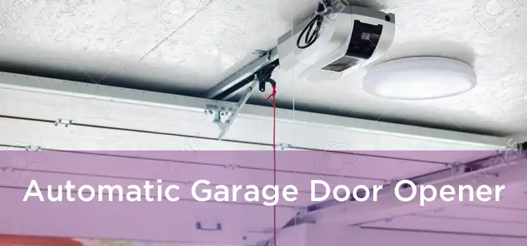 Automatic Garage Door Opener 
