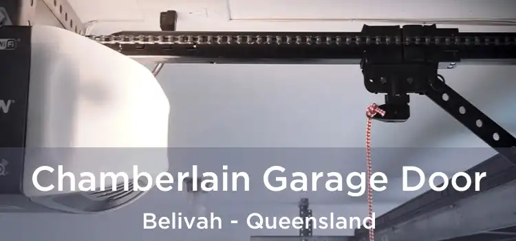 Chamberlain Garage Door Belivah - Queensland