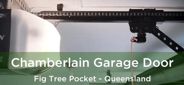 Chamberlain Garage Door Fig Tree Pocket - Queensland