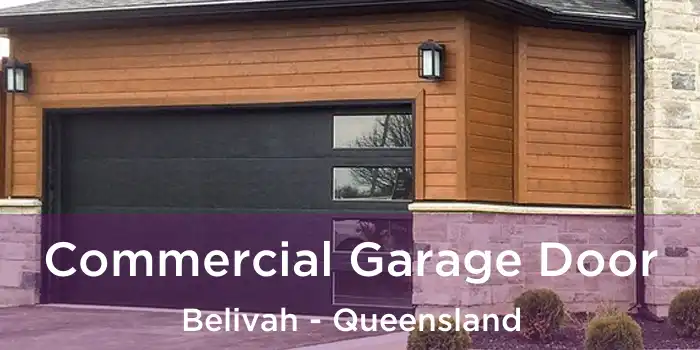 Commercial Garage Door Belivah - Queensland