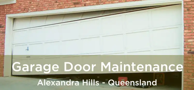 Garage Door Maintenance Alexandra Hills - Queensland