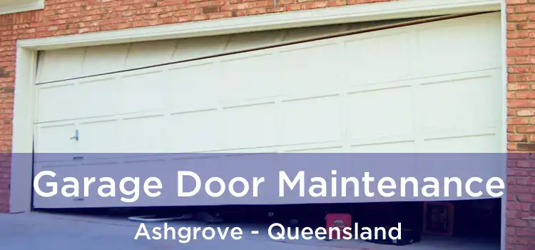 Garage Door Maintenance Ashgrove - Queensland