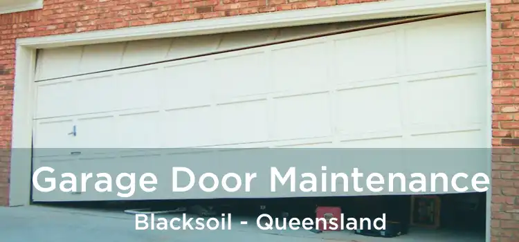 Garage Door Maintenance Blacksoil - Queensland