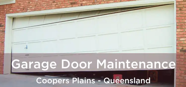 Garage Door Maintenance Coopers Plains - Queensland