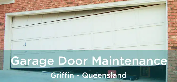 Garage Door Maintenance Griffin - Queensland