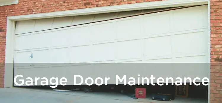 Garage Door Maintenance