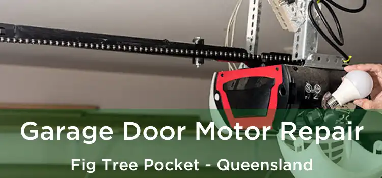 Garage Door Motor Repair Fig Tree Pocket - Queensland