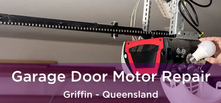 Garage Door Motor Repair Griffin - Queensland