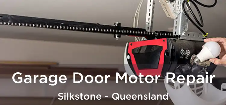 Garage Door Motor Repair Silkstone - Queensland
