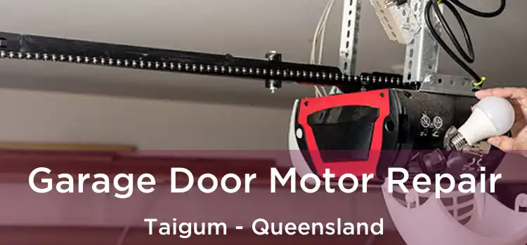 Garage Door Motor Repair Taigum - Queensland