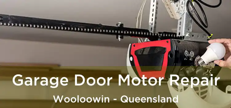 Garage Door Motor Repair Wooloowin - Queensland