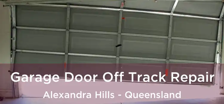 Garage Door Off Track Repair Alexandra Hills - Queensland