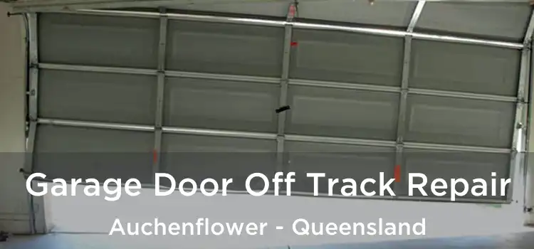 Garage Door Off Track Repair Auchenflower - Queensland