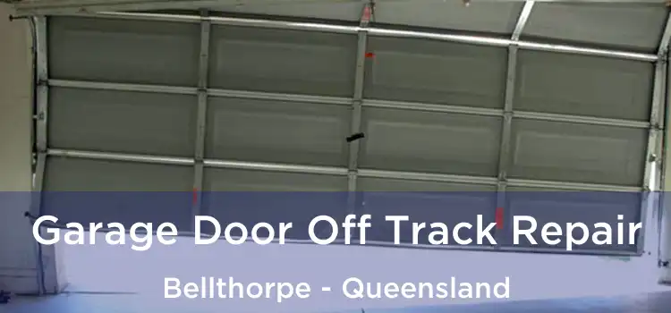Garage Door Off Track Repair Bellthorpe - Queensland