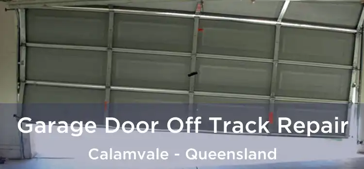 Garage Door Off Track Repair Calamvale - Queensland