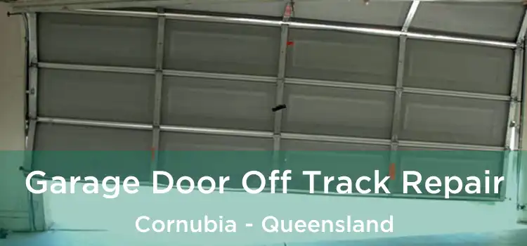 Garage Door Off Track Repair Cornubia - Queensland