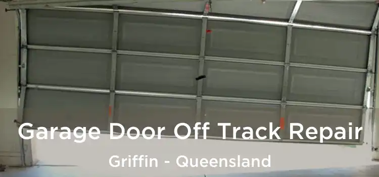 Garage Door Off Track Repair Griffin - Queensland