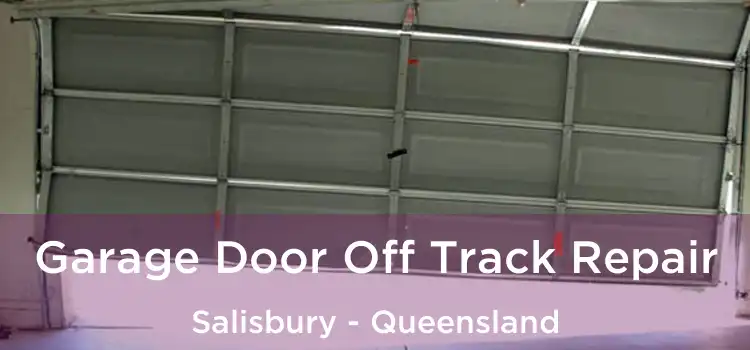 Garage Door Off Track Repair Salisbury - Queensland