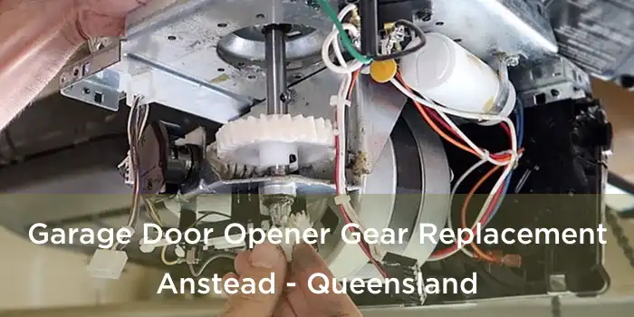 Garage Door Opener Gear Replacement Anstead - Queensland