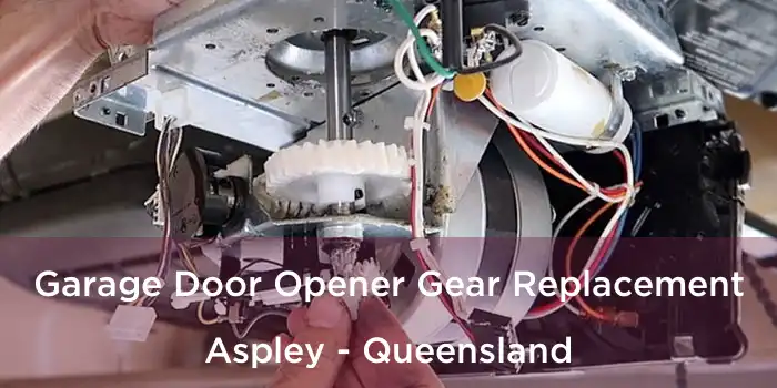 Garage Door Opener Gear Replacement Aspley - Queensland