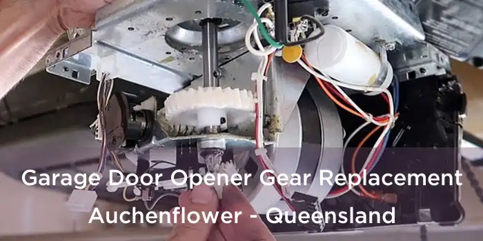 Garage Door Opener Gear Replacement Auchenflower - Queensland