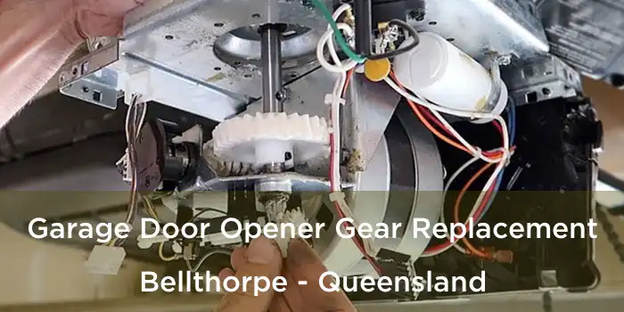 Garage Door Opener Gear Replacement Bellthorpe - Queensland