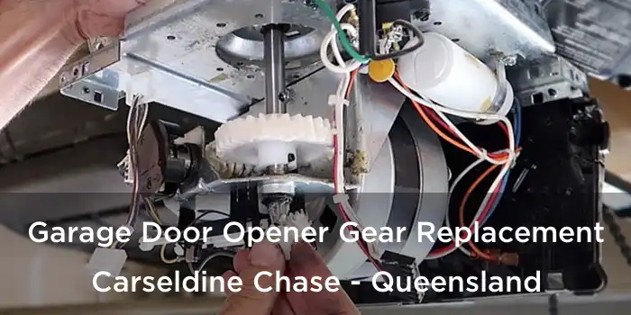 Garage Door Opener Gear Replacement Carseldine Chase - Queensland