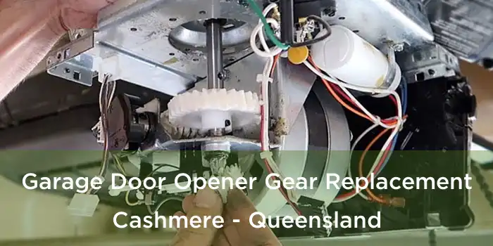 Garage Door Opener Gear Replacement Cashmere - Queensland