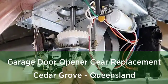 Garage Door Opener Gear Replacement Cedar Grove - Queensland