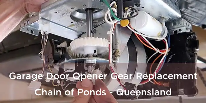 Garage Door Opener Gear Replacement Chain of Ponds - Queensland