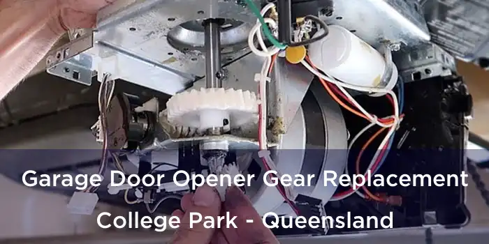 Garage Door Opener Gear Replacement College Park - Queensland