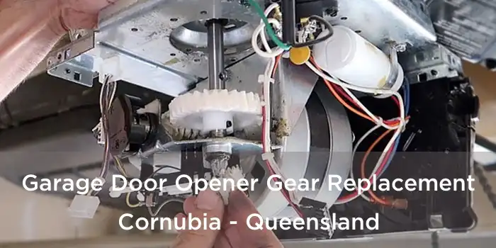Garage Door Opener Gear Replacement Cornubia - Queensland