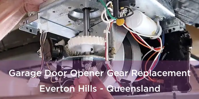 Garage Door Opener Gear Replacement Everton Hills - Queensland