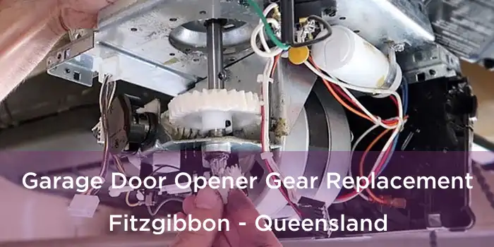 Garage Door Opener Gear Replacement Fitzgibbon - Queensland