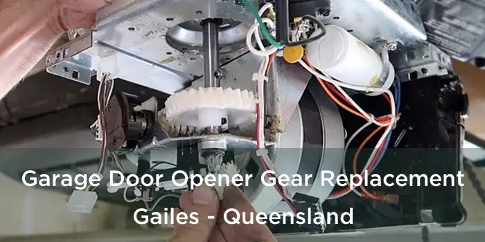 Garage Door Opener Gear Replacement Gailes - Queensland