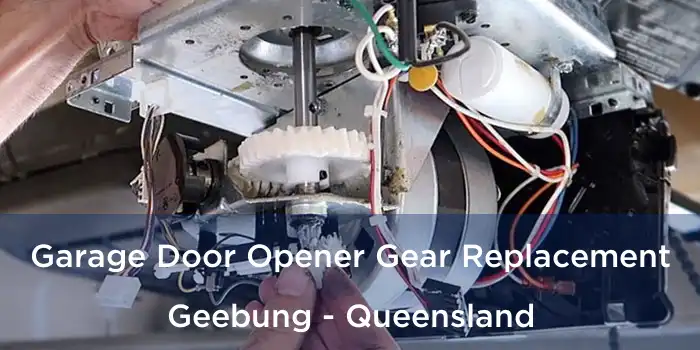 Garage Door Opener Gear Replacement Geebung - Queensland