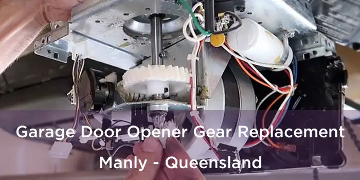 Garage Door Opener Gear Replacement Manly - Queensland