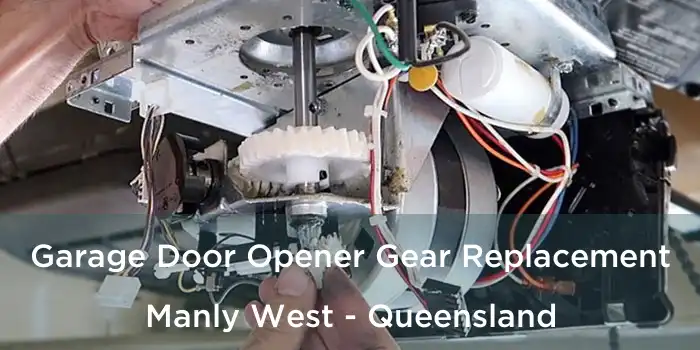 Garage Door Opener Gear Replacement Manly West - Queensland