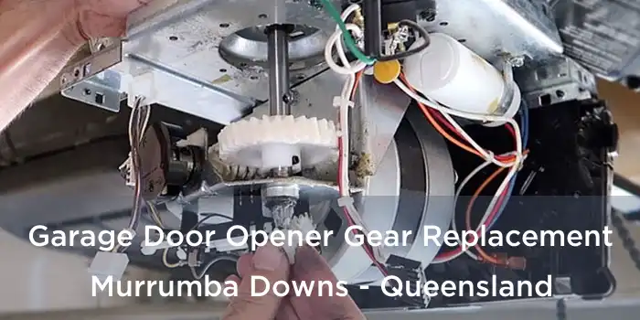 Garage Door Opener Gear Replacement Murrumba Downs - Queensland
