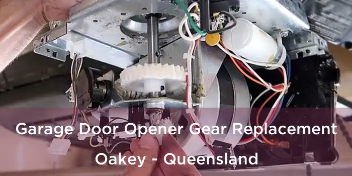 Garage Door Opener Gear Replacement Oakey - Queensland