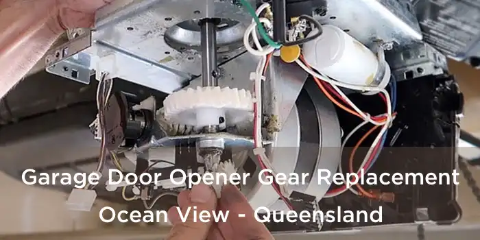 Garage Door Opener Gear Replacement Ocean View - Queensland
