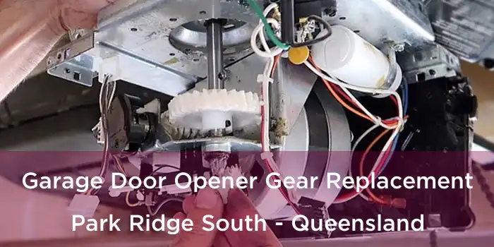 Garage Door Opener Gear Replacement Park Ridge South - Queensland