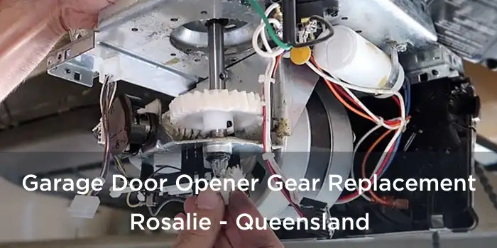 Garage Door Opener Gear Replacement Rosalie - Queensland