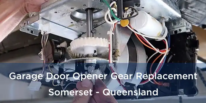 Garage Door Opener Gear Replacement Somerset - Queensland