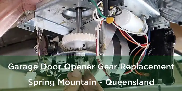 Garage Door Opener Gear Replacement Spring Mountain - Queensland