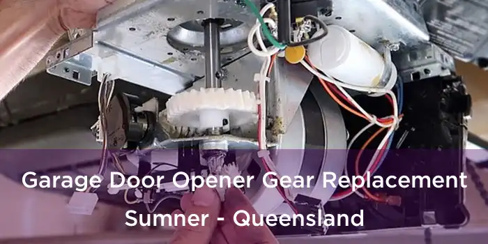 Garage Door Opener Gear Replacement Sumner - Queensland