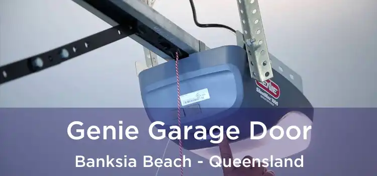 Genie Garage Door Banksia Beach - Queensland