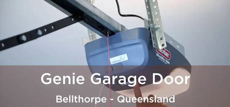 Genie Garage Door Bellthorpe - Queensland
