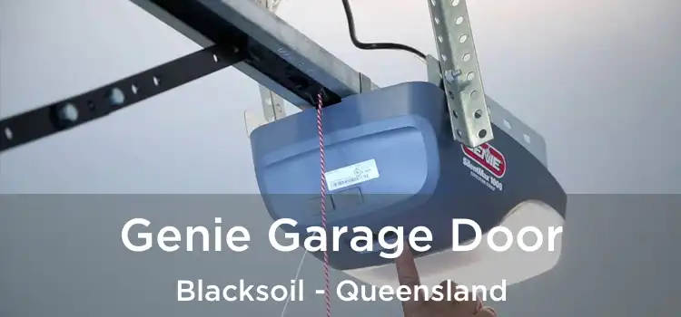 Genie Garage Door Blacksoil - Queensland
