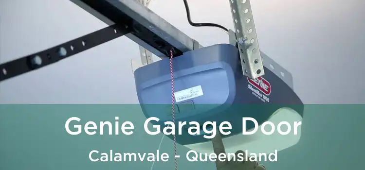 Genie Garage Door Calamvale - Queensland